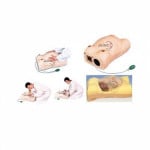 Maternity Examination Model